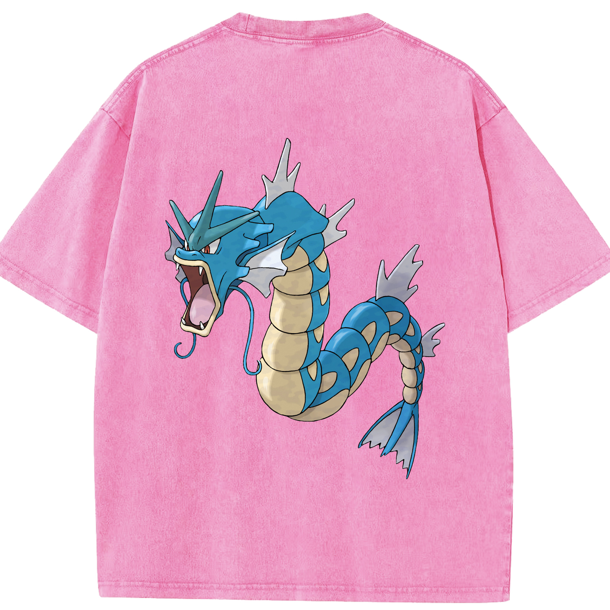 （画像用） ポケットモンスター Pokémon 綿100% ヴィンテージ風 半袖Tシャツ（背面プリント）